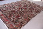 Collector’s Vintage Afghan Rug – 213x305 cm | Rare Animal & Bird Motif Wool Carpet
